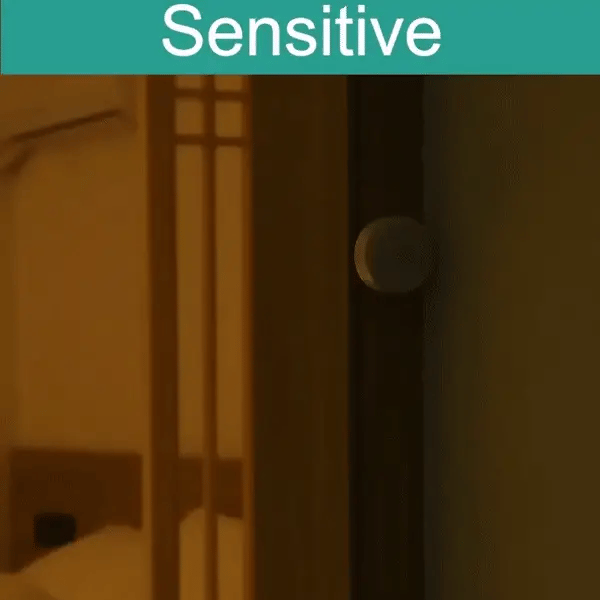 Motion Sensor Light
